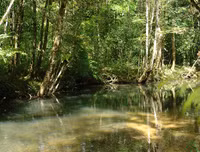 [ẢNH] Chiêm ngưỡng vẻ đẹp của 4 Vườn Di sản ASEAN mới tại Việt Nam