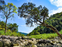 [ẢNH] Chiêm ngưỡng vẻ đẹp của 4 Vườn Di sản ASEAN mới tại Việt Nam