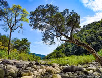 [ẢNH] Chiêm ngưỡng vẻ đẹp của 4 Vườn Di sản ASEAN mới tại Việt Nam