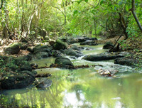 [ẢNH] Chiêm ngưỡng vẻ đẹp của 4 Vườn Di sản ASEAN mới tại Việt Nam