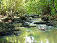 [ẢNH] Chiêm ngưỡng vẻ đẹp của 4 Vườn Di sản ASEAN mới tại Việt Nam