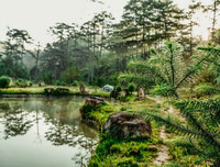 [ẢNH] Chiêm ngưỡng vẻ đẹp của 4 Vườn Di sản ASEAN mới tại Việt Nam