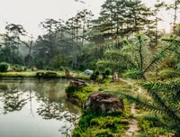 [ẢNH] Chiêm ngưỡng vẻ đẹp của 4 Vườn Di sản ASEAN mới tại Việt Nam