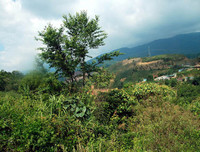 [ẢNH] Chiêm ngưỡng vẻ đẹp của 4 Vườn Di sản ASEAN mới tại Việt Nam