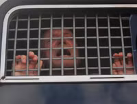 [ẢNH] Cảnh sát Nga trấn áp và bắt giữ hơn 1.000 người biểu tình