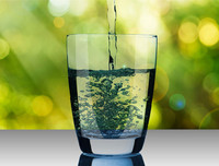 [ẢNH] Bổ sung nước đúng cách trong mùa nắng nóng để tăng sức đề kháng