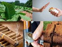 [ẢNH] Sự thật đáng sợ về những chất độc 