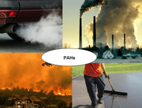 [ẢNH] Sự thật đáng sợ về những chất độc 