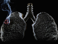 [ẢNH] Sự thật đáng sợ về những chất độc 