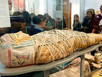 [ẢNH] Sự thật đáng sợ về những chất độc 