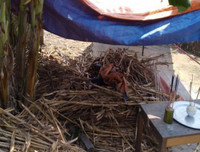 [ẢNH] Mâu thuẫn tiền bạc: Khởi nguồn của nhiều vụ án thương tâm