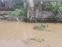 [ẢNH] Từ vụ lấy nước mương ô nhiễm làm nước uống: Cách nhận biết nước tinh khiết 