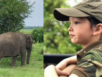 [ẢNH] Cuộc sống sau ly hôn của ca sĩ Hồng Nhung là sự xen lẫn 