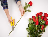 Mẹo nhỏ nhưng công dụng lớn giúp hoa tươi lâu dịp Tết