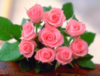 Mẹo nhỏ nhưng công dụng lớn giúp hoa tươi lâu dịp Tết