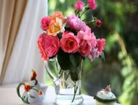 Mẹo nhỏ nhưng công dụng lớn giúp hoa tươi lâu dịp Tết