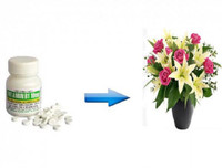 Mẹo nhỏ nhưng công dụng lớn giúp hoa tươi lâu dịp Tết