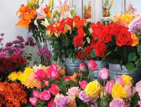 Mẹo nhỏ nhưng công dụng lớn giúp hoa tươi lâu dịp Tết