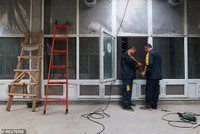 Mục sở thị các trại nuôi hàng tỷ con gián bằng thức ăn thừa ở Trung Quốc