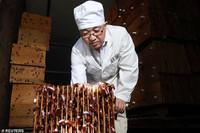 Mục sở thị các trại nuôi hàng tỷ con gián bằng thức ăn thừa ở Trung Quốc