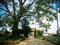 [ẢNH] Những địa điểm vui chơi quanh Hà Nội cho ngày Phụ nữ Việt Nam 20-10