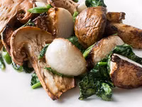 [ẢNH] Điểm danh những loại nấm 