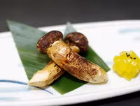 [ẢNH] Điểm danh những loại nấm 