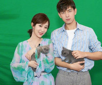 [ẢNH] Những cặp đôi Hoa ngữ dính tin đồn hẹn hò khiến dư luận xôn xao