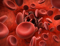 [ẢNH] Những đặc điểm của cha mẹ dễ di truyền cho con cái