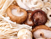 [ẢNH] Dinh dưỡng mùa thi (1): 