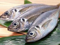 [ẢNH] Dinh dưỡng mùa thi (1): 