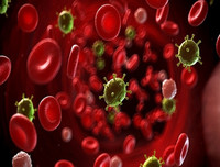 Những lợi ích tuyệt vời của trà không phải ai cũng biết