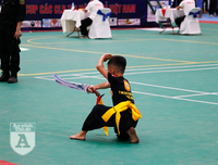 [ẢNH] Võ sĩ nhí khuấy đảo đại hội võ thuật: 