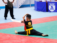 [ẢNH] Võ sĩ nhí khuấy đảo đại hội võ thuật: 