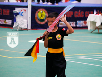 [ẢNH] Võ sĩ nhí khuấy đảo đại hội võ thuật: 