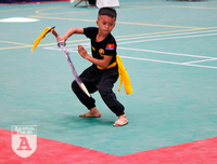 [ẢNH] Võ sĩ nhí khuấy đảo đại hội võ thuật: 