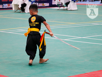 [ẢNH] Võ sĩ nhí khuấy đảo đại hội võ thuật: 