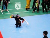 [ẢNH] Võ sĩ nhí khuấy đảo đại hội võ thuật: 