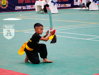 [ẢNH] Võ sĩ nhí khuấy đảo đại hội võ thuật: 