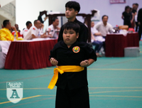 [ẢNH] Võ sĩ nhí khuấy đảo đại hội võ thuật: 