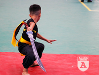 [ẢNH] Võ sĩ nhí khuấy đảo đại hội võ thuật: 