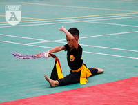 [ẢNH] Võ sĩ nhí khuấy đảo đại hội võ thuật: 