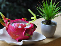 [ẢNH] Món ngon tốt cho sức khoẻ, dễ làm từ thanh long