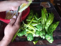 [ẢNH] Món ngon tốt cho sức khoẻ, dễ làm từ thanh long