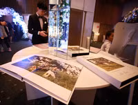 Cận cảnh đám cưới siêu hot của con gái Minh 