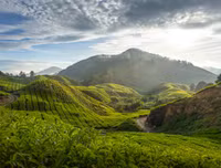[ẢNH] 15 điểm du lịch nhất định phải ghé khi tới Malaysia xem chung kết AFF Cup 2018