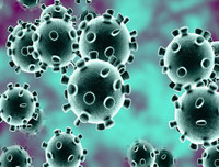 [ẢNH] Những loài động vật là ổ chứa tự nhiên của nhiều virus 