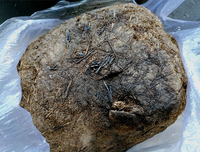 [ẢNH] Những món ăn kỳ lạ có 