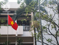 Kỳ lạ hoa sữa nở giữa mùa hè khắp phố phường Hà Nội