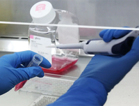 [ẢNH] Những phát hiện khoa học quan trọng của các nước về virus corona